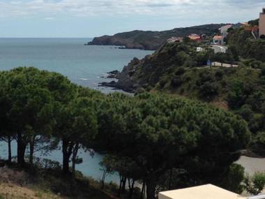 Appartement Banyuls-sur-Mer 3 pièces 6 personnes - FR-1-309-130