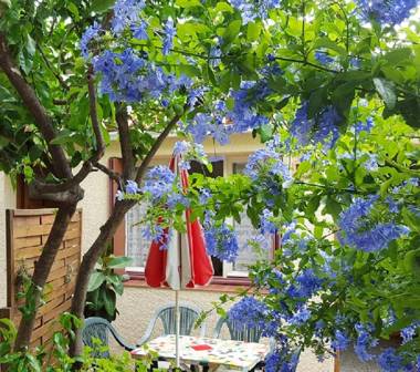 Studio a Banyuls sur Mer a 300 m de la plage avec terrasse amenagee et wifi