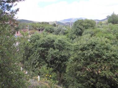 Studio Banyuls-sur-Mer 1 pièce 4 personnes - FR-1-309-171