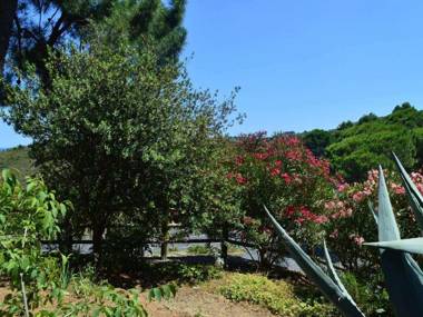 Appartement Banyuls-sur-Mer 3 pièces 5 personnes - FR-1-225C-77