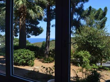 Appartement Banyuls-sur-Mer 3 pièces 5 personnes - FR-1-225C-77