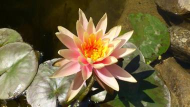 Domaine De La Tannerie