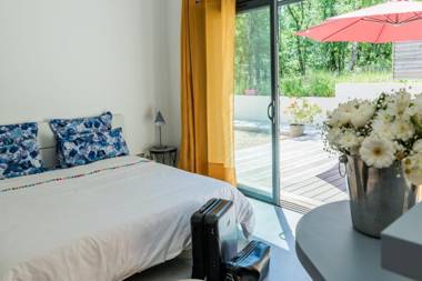 Sous Les oliviers - Piscine chauffée à débordement - Charming