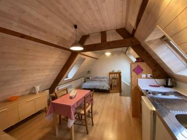 Studio La Roche-Posay 1 pièce 2 personnes - FR-1-541-55