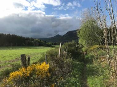 Studio Mont-Dore 1 pièce 2 personnes - FR-1-608-103