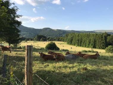 Appartement Mont-Dore 2 pièces 6 personnes - FR-1-608-156