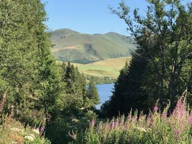 Chalet Mont-Dore 4 pièces 9 personnes - FR-1-608-88