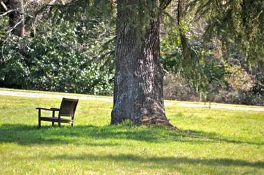 Château La Thuilière