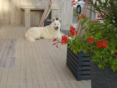 Gîte Brem 5 pièces 8 personnes - FR-1-426-103