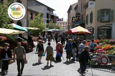 Artist Flat Saint Flour