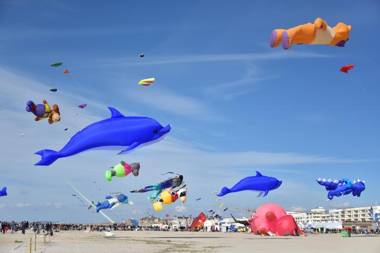 Studio "Les pieds dans l'eau" - 50m Front de Mer