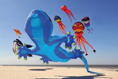 Mes Vacances à Berck