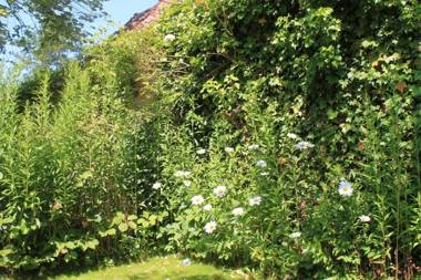 Chambre du Rouard LE RUISSEAU