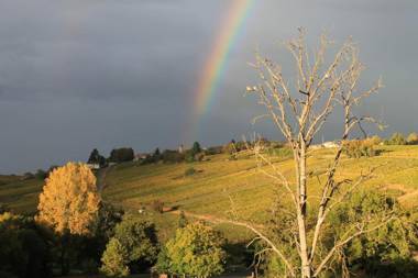 Hôtel Restaurant Le Moulin de Saint Verand