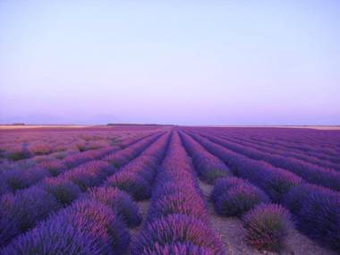 Hotel Les Restanques De Moustiers