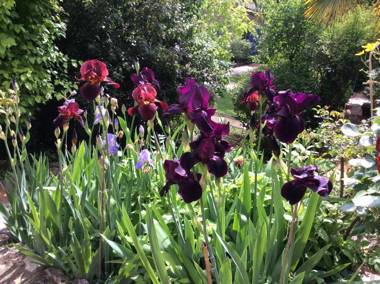 Clos des Iris