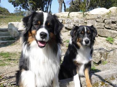 La Ferme les Eybrachas