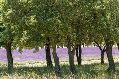 La Maison de Catherine