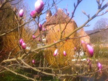 Auberge du Manoir d'Archelles