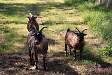 Château Côte de Nacre