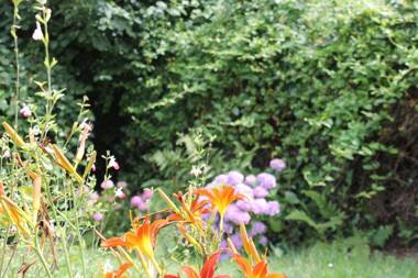 La Chaumière aux Faisans