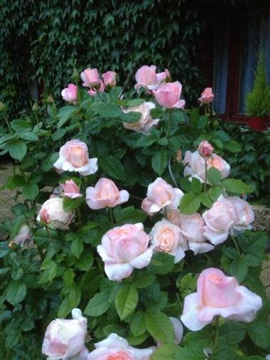 Chambre d'Hôtes Le Moulin des Landes