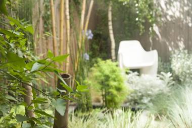 RONAN KERVARREC - Le Saison - Rennes - Saint-Grégoire