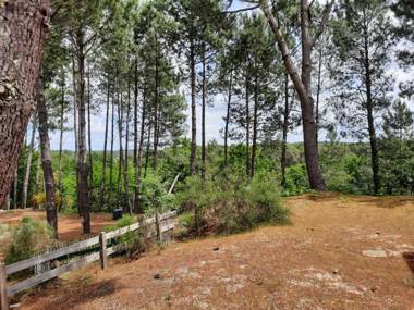 Maison Moliets-et-Maa 3 pièces 4 personnes - FR-1-239-650