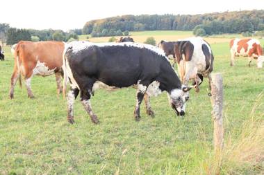 Maison Carmen Auberge à La Ferme