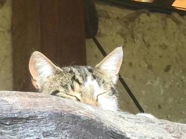 Le Moulin de Champagne