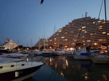 Studio Apartment between Nice and Cannes - Marina baie des Anges - Beach restaurants shops - tea/coffee/sugar/bed linen and towels