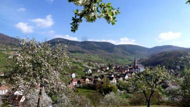 Les Gites La Cerisaie