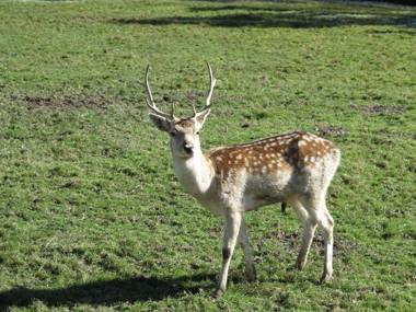 Les Gites La Cerisaie