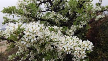 Le Mas des Roches à Velaux