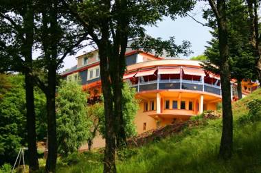 L'Hostellerie Le Turckheim Croix d'or