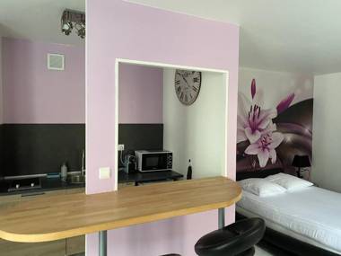 Appart du cirque centre historique