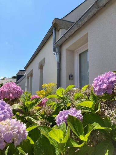 Résidence Simone Lévy - Rêves de mer