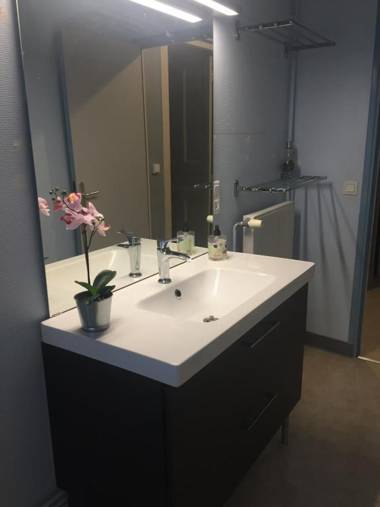 CAP COUTELLERIE Thiers hypercentre T2-T4