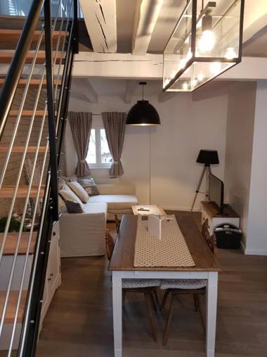 LE NID DE L'ILL Magnifique Duplex Cosy Petite France