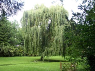 Auberge La Pomme de Pin