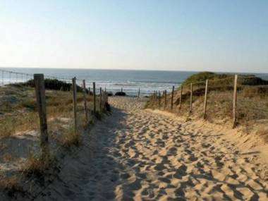 Maison Seignosse 3 pièces 4 personnes - FR-1-239-385