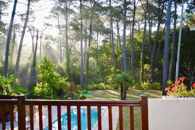 Villa in the forest of Seignosse 600m from the beach Great for large groups