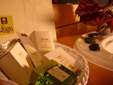 Logis Hotel Eden Lac