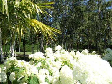 Appartement Savigneux 1 pièce 2 personnes - FR-1-496-218