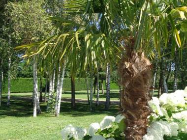 Appartement Savigneux 1 pièce 3 personnes - FR-1-496-217