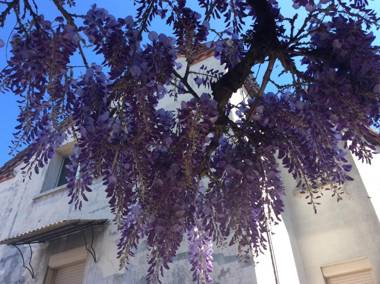 Logis Auberge de la Tour