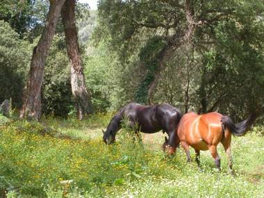 Maisonnette du berger de Croccano