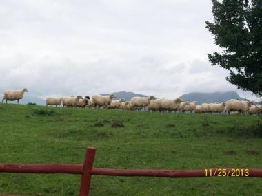 Appartement Larraburuko-Borda