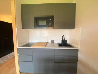 Studio Samoëns 1 pièce 4 personnes - FR-1-624-71