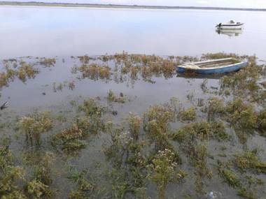 Hotel du Port et des Bains